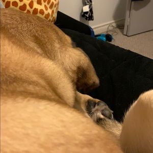 Meet your Posher, April